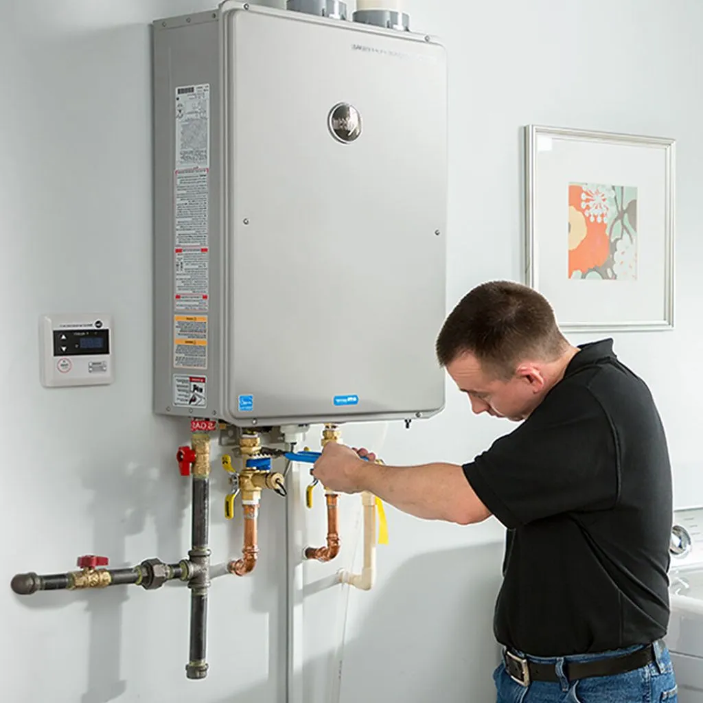 tankless water heater repair in Hygiene, CO